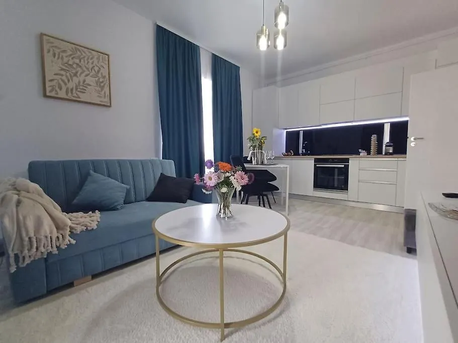Swiss Apartment 1-1